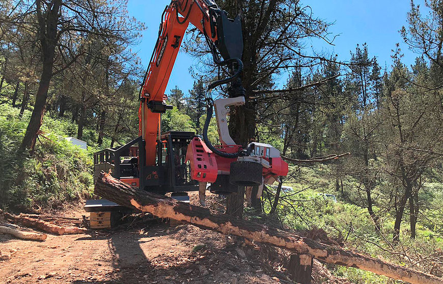 DOOSAN DX255NLC-5, IDEAL PARA TRABAJOS FORESTALES